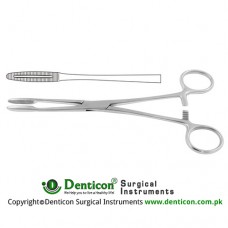 Gross-Maier Dressing Forcep Straight - With Ratchet Stainless Steel, 22 cm - 8 3/4"